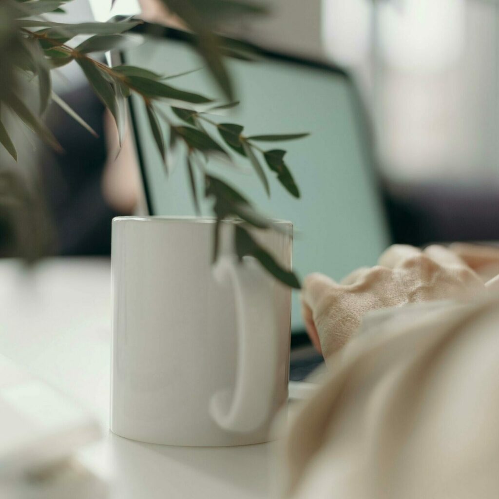 Cabinet RENAI'Sens Christelle CHOLLET consultation à distance psychologue