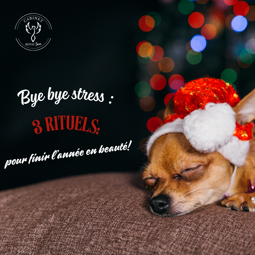 Consultation de psychologie à distance – Consultation de psychologie en VISIO ou TELEPHONE - Souffrance au travail – Ateliers- Formation- RH - QVT – Psychologie Positive- Cabinet RENAI'Sens - Christelle CHOLLET – Psychologue - Psychologue HOUILLES – Psychologue LA MADELEINE DE NONANCOURT- Psychologue Carrières sur Seine – Psychologue Sartrouville – Psychologue Bezons – Psychologue Dreux – Psychologue Montesson – Psychologue Saint Lubin des Joncherets – Psychologue Nonancourt- Psychologue Eure – Psychologue Eure et Loir – Relations toxiques – Burn out – recherche de sens – psychothérapie – reconversion professionnelle – téléconsultation psychologue – coaching - psychologue burn-out Houilles - coaching QVT Ile de France - consultations en reconversion professionnelle psychologue -